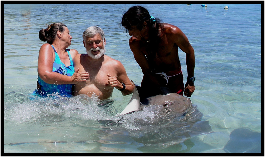 dune buggy exploration